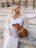 Hondenhalsband Leer Roze