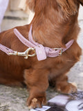 Hondenhalsband Leer Roze