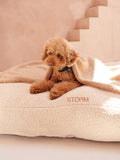 Dog Cushion Teddy Cream