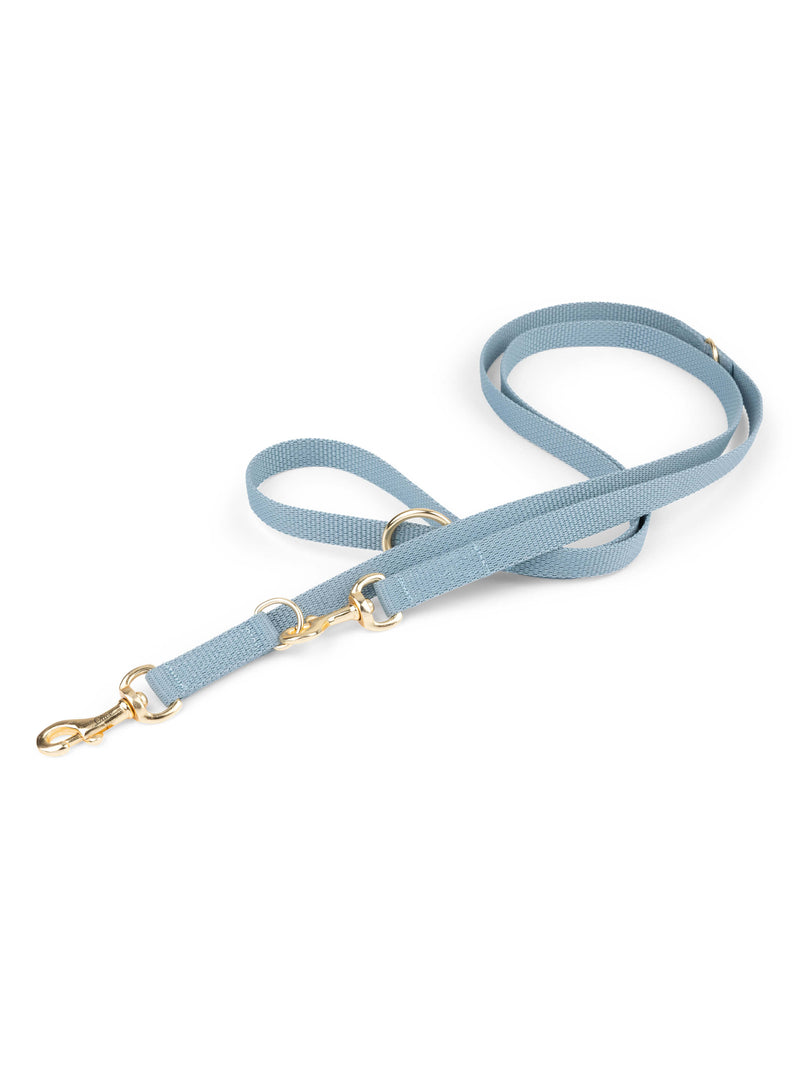 Hands-free Dog Leash Blue