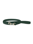 Laisse en cuir vert pour chien