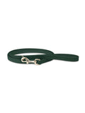 Laisse en cuir vert pour chien