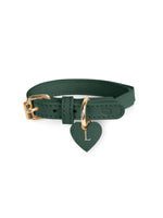 Collier pour chat en cuir vert