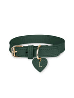 Collar de cuero verde para perro