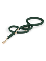 Laisse pour chien mains libres en cuir vert