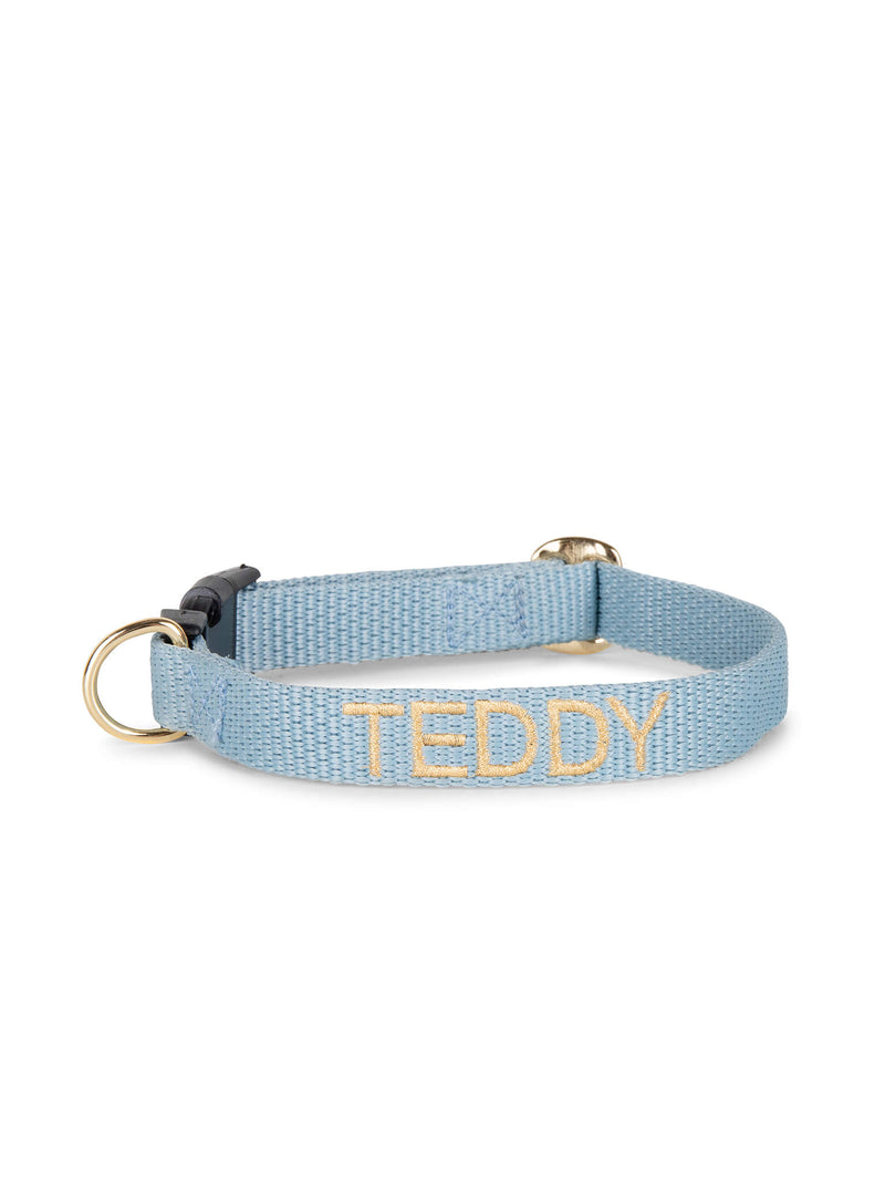 Collier bleu pour chien