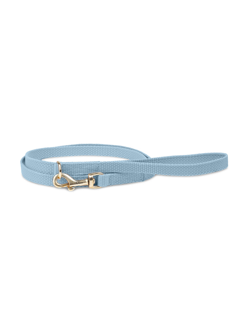 Laisse bleue pour chien