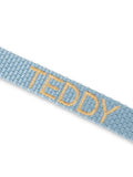 Dog Leash Blue