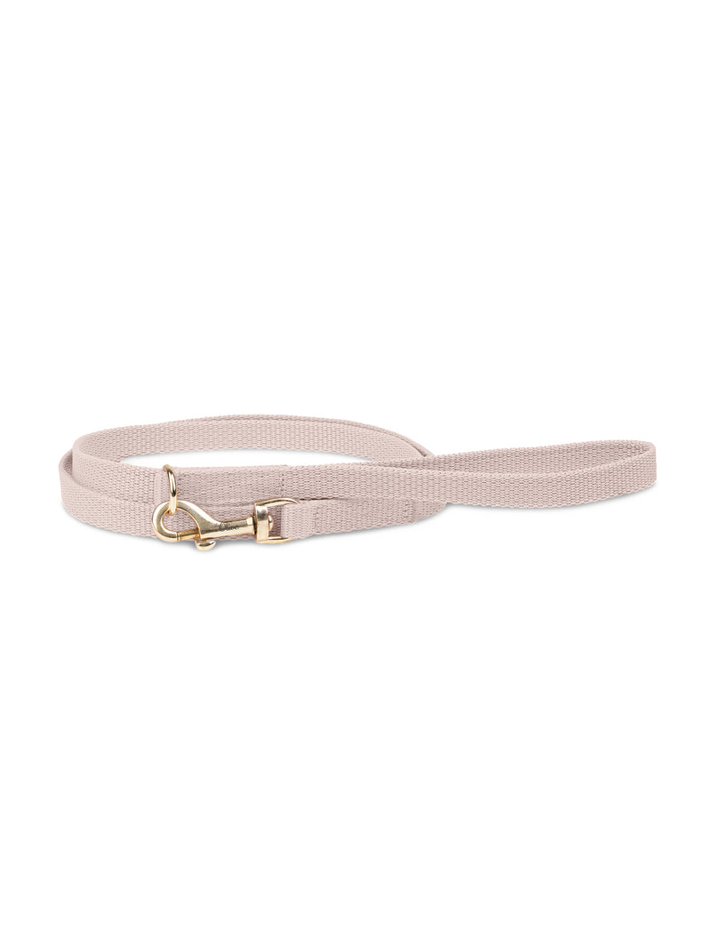 Laisse beige pour chien