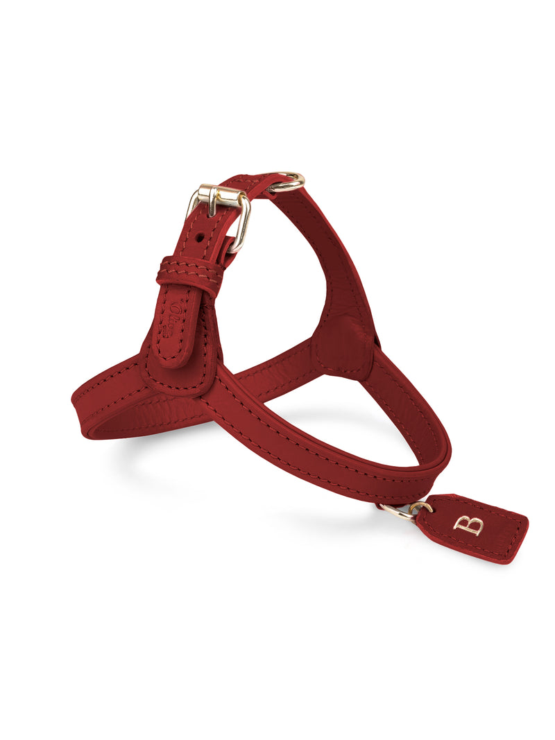 Harnais en cuir rouge pour chien